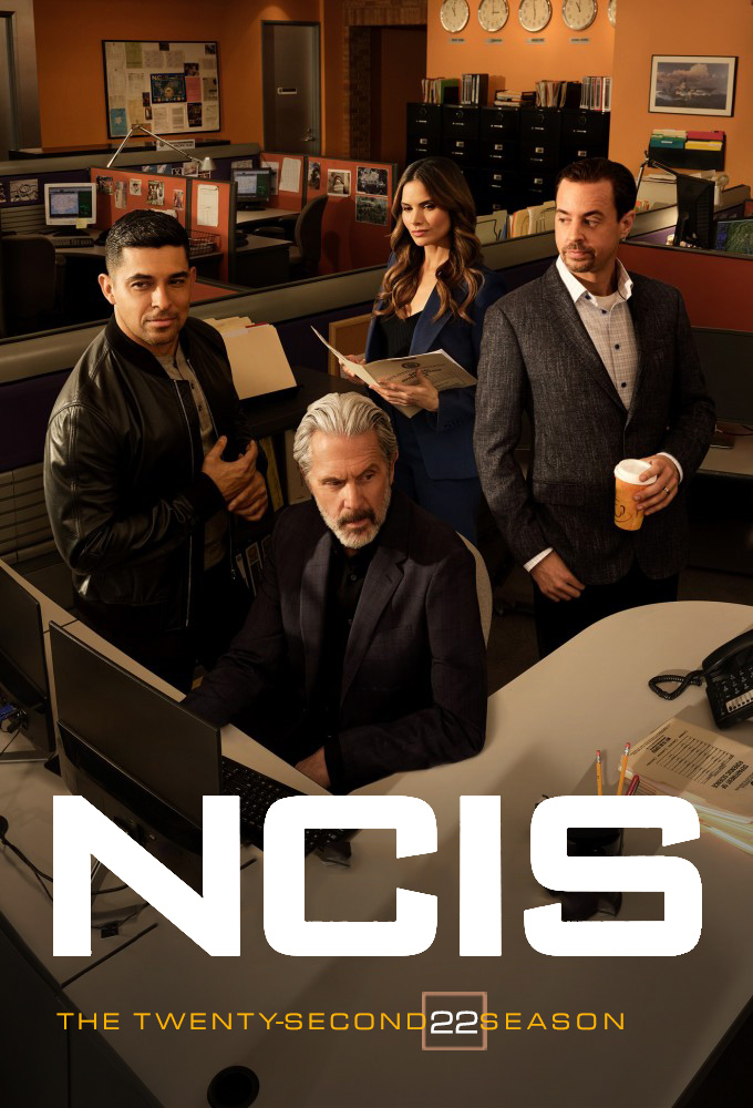 NCIS - Season 22 [137508] (A1774161526) [[Shows 2.0]] --Plex--